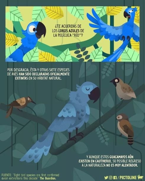 Guacamayo en peligro